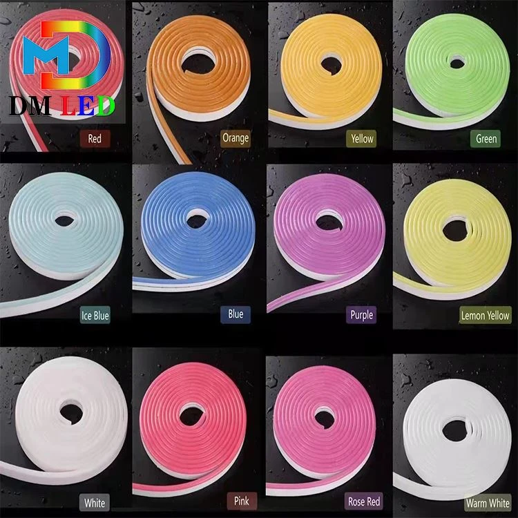 0612 Luz Neon LED